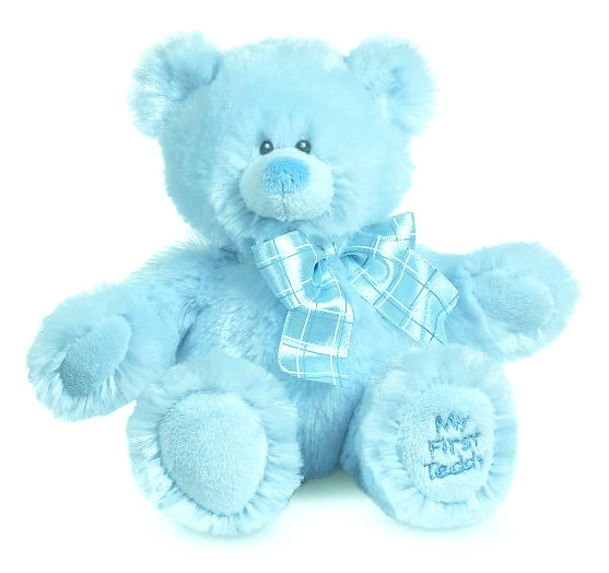 Blue stuffed teddy bear with a blue plaid satin bow around its neck.  Embroidered on the right foot is 'My First Teddy'