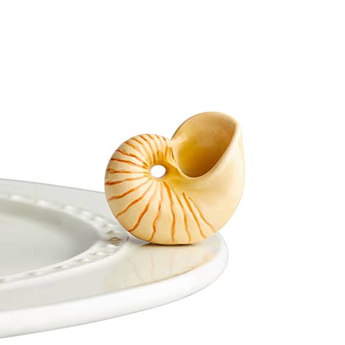 A ceramic nautilus shell attached to the edge of a ceramic tray.