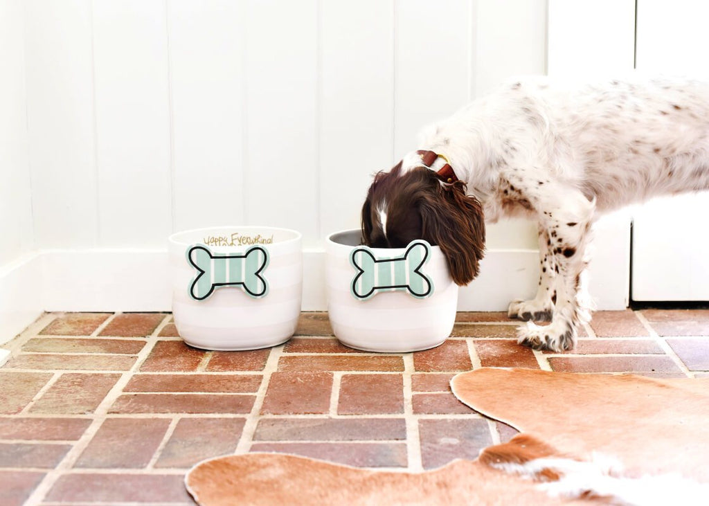 An image of a mudroom with brick floor and cow skin rug.  Agains the white plank walls are two large white/off white striped bowls that have a large ceramic blue and white dog bone attachment on them.  A white and brown spotted dog has its head down and is eating out of the bowl on the right.