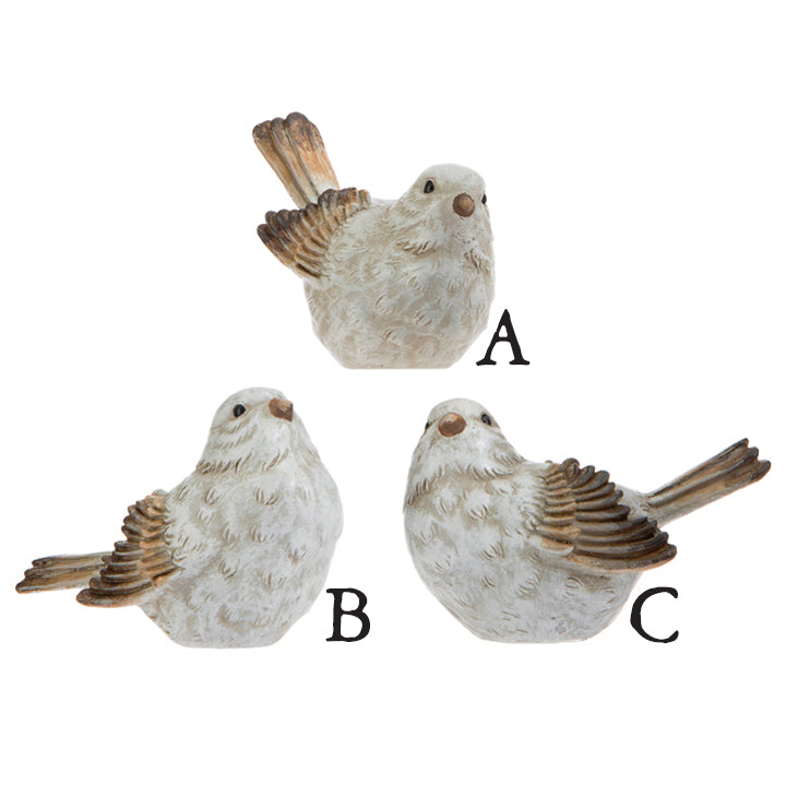 Three small bids with white bodies and ochre and brown wings and tails on a white background.  Birds are arranged in a triangle, the one on top is labeled A and has its tail pointed upward and is looking straight ahead.  B, down left,  has tail out straight and is looking up.  C, down right, is looking to the left and the tail is slightly raised.