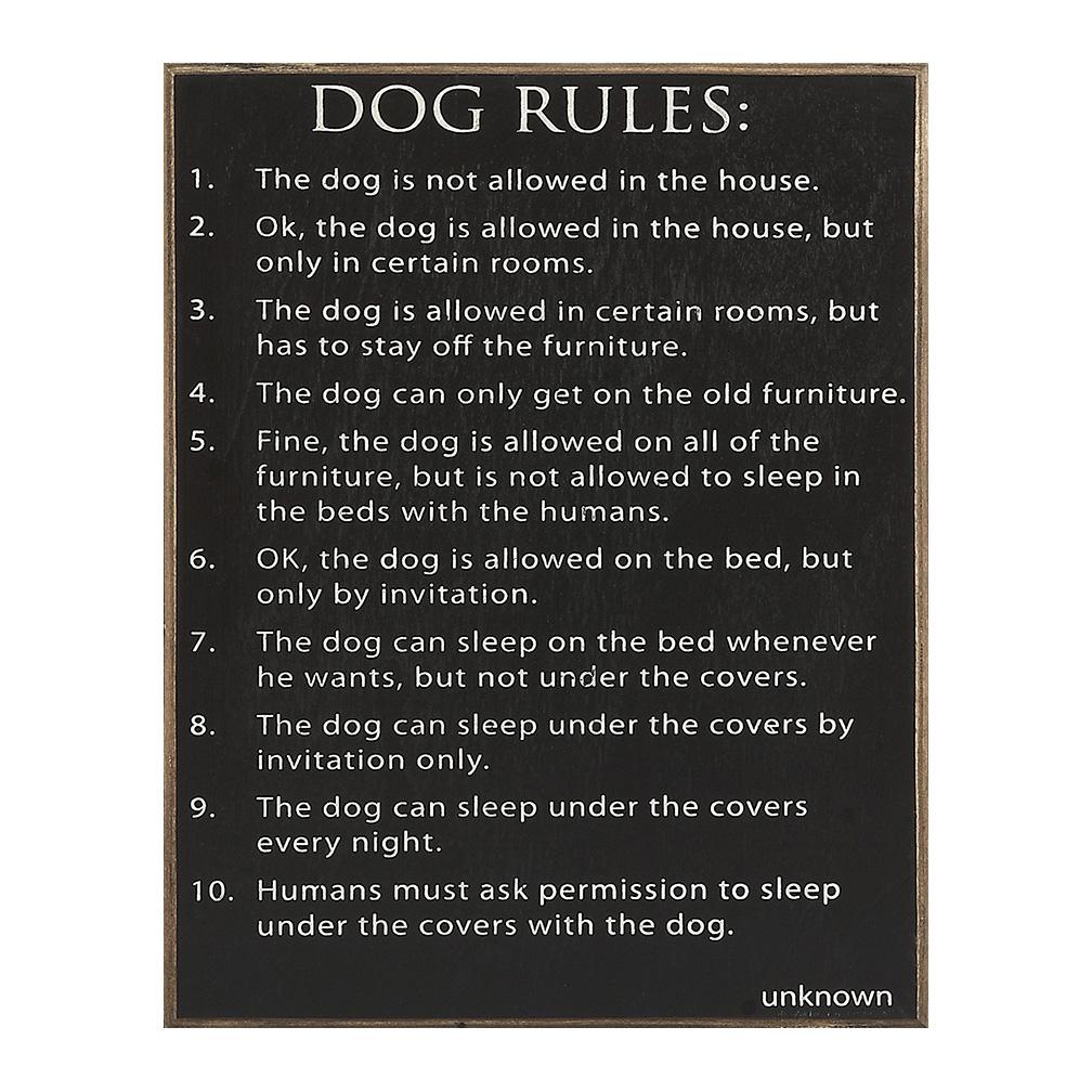 Photo of Dog Rules Sign.  Sign is black with white text, and has a beveled edge.