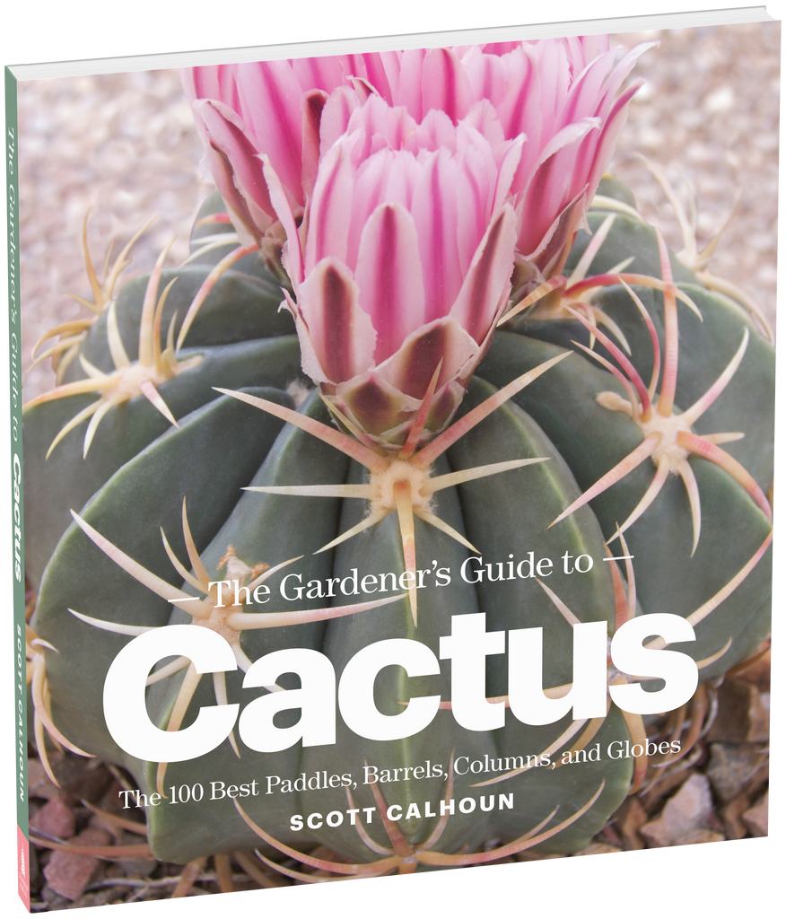 Image of the cover of the book, 'The Gardener's Guide to Cactus', features a close up of a round cactus with pink flowers at the top.