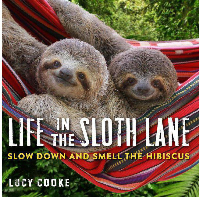 Book cover of 'Life in the Sloth Lane - Slow Down and Smell the Hibiscus" - features a photo of two smiling sloths sitting in a hammock.